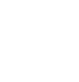 Singapore Airlines